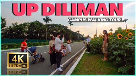 betway up diliman|Have you tried walking along .